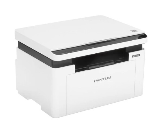 Pantum BM2300
